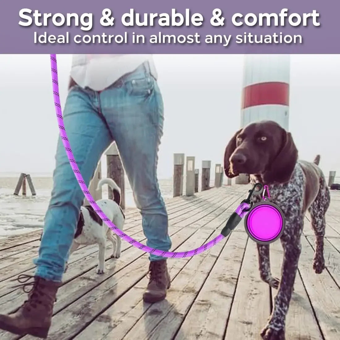 Guinzaglio Riflettente in Nylon Rinforzato per Cani – Resistente e Sicuro (Taglia Piccola, Media, Grande)en Retriever
