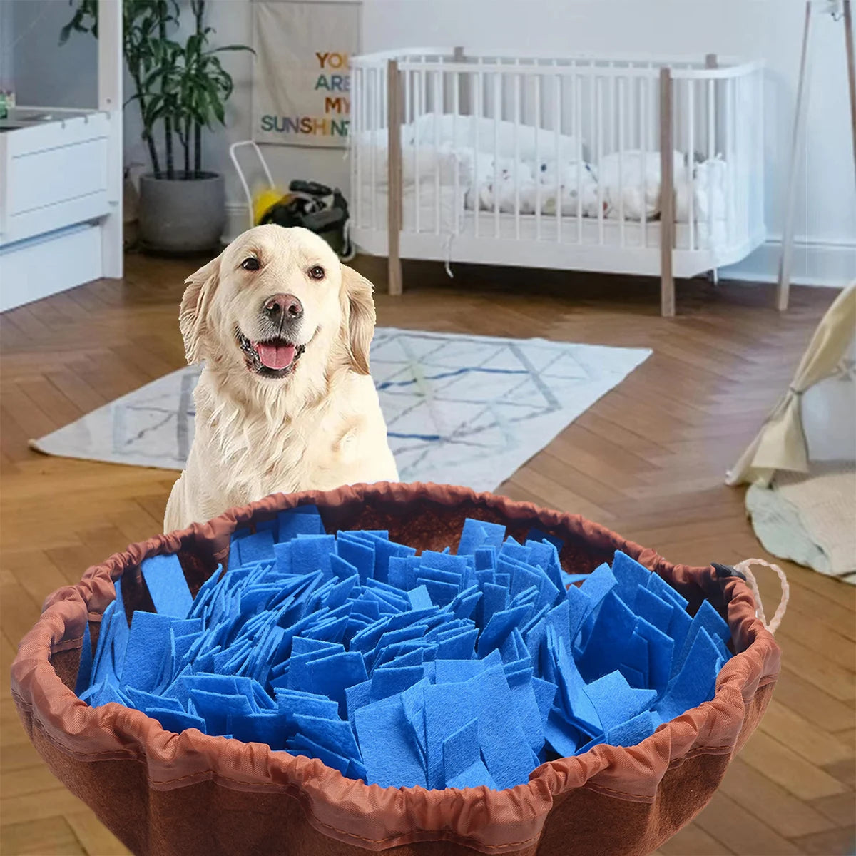 Tappetino Olfattivo per Cani – Gioco e Alimentazione Lenta, Lavabile e Pieghevole