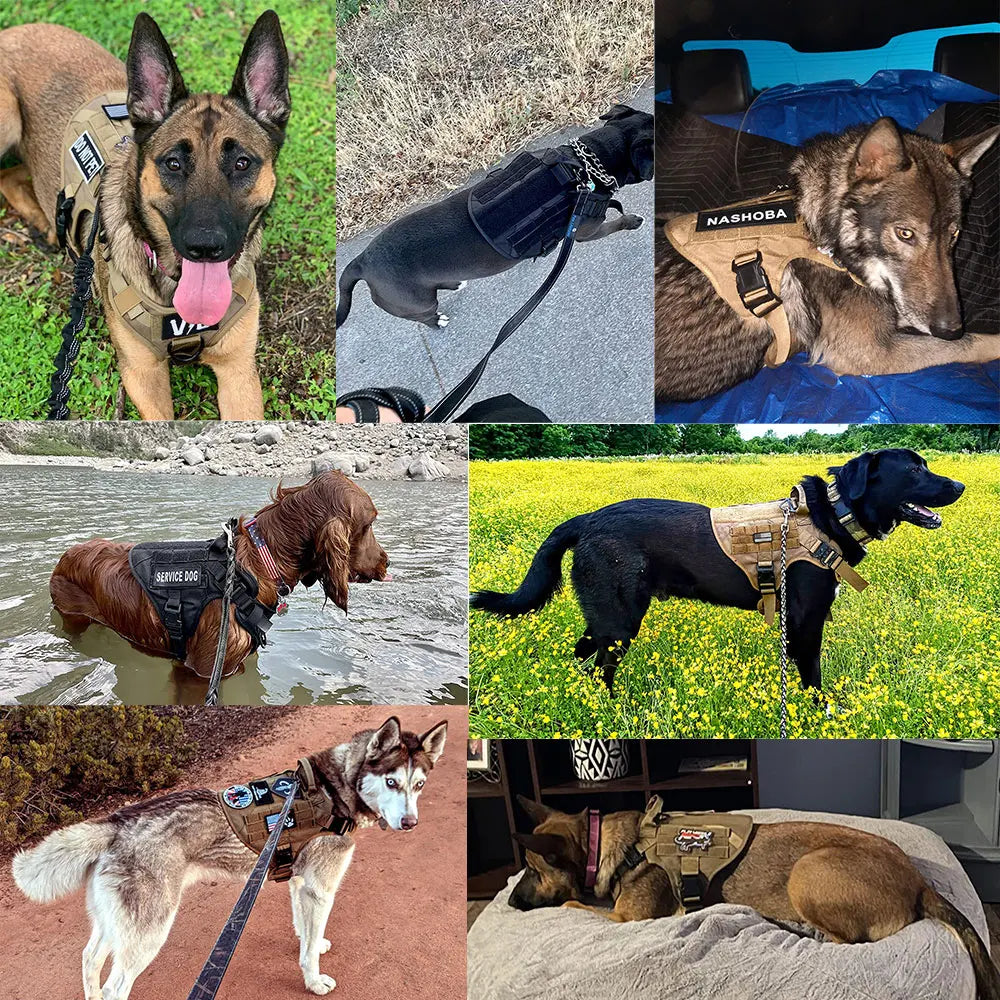 Pettorina Militare Tattica per Cani di Taglia Grande – Addestramento e Passeggiate (Bulldog, Pastore Tedesco, Malinois)