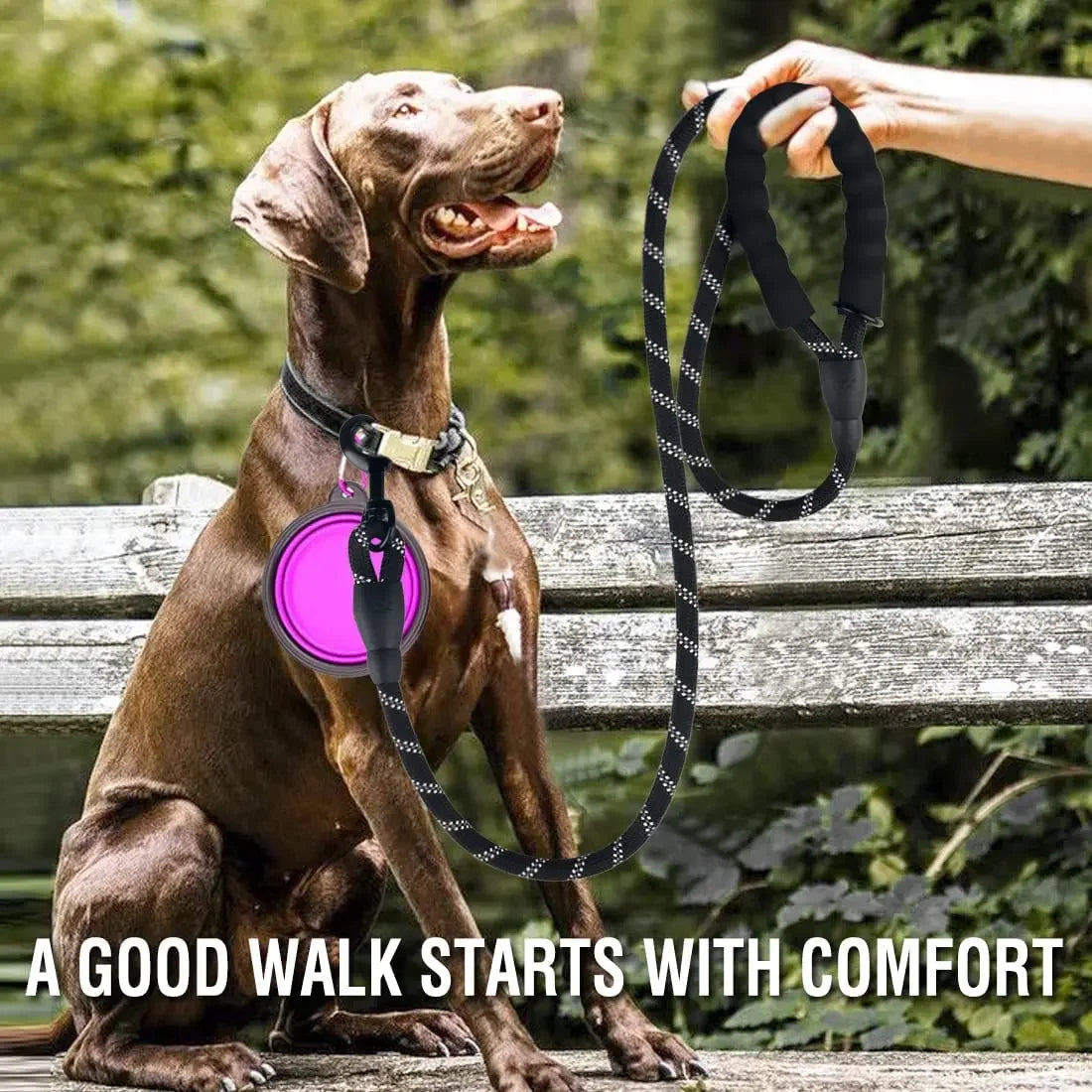 Guinzaglio Riflettente in Nylon Rinforzato per Cani – Resistente e Sicuro (Taglia Piccola, Media, Grande)en Retriever