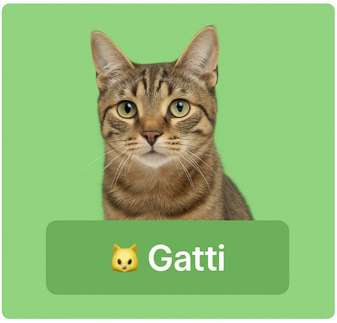 Gatti