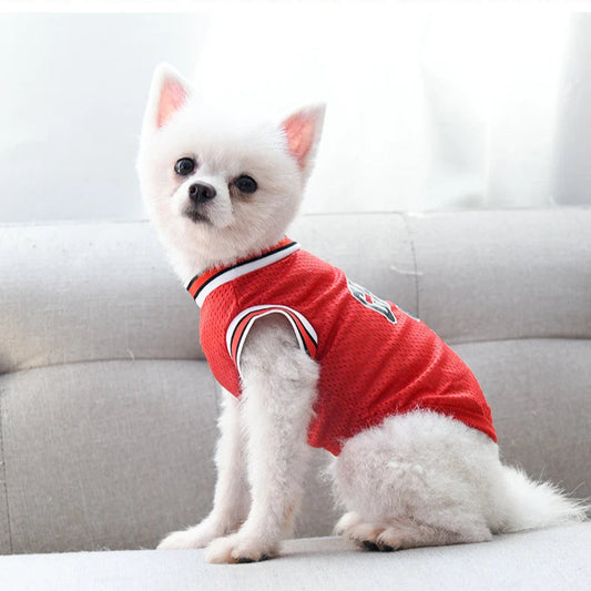 Abbigliamento Estivo Traspirante per Cani e Gatti – Magliette Sportive in Rete, T-Shirt Basket per Cuccioli e Cani di Taglia Grande