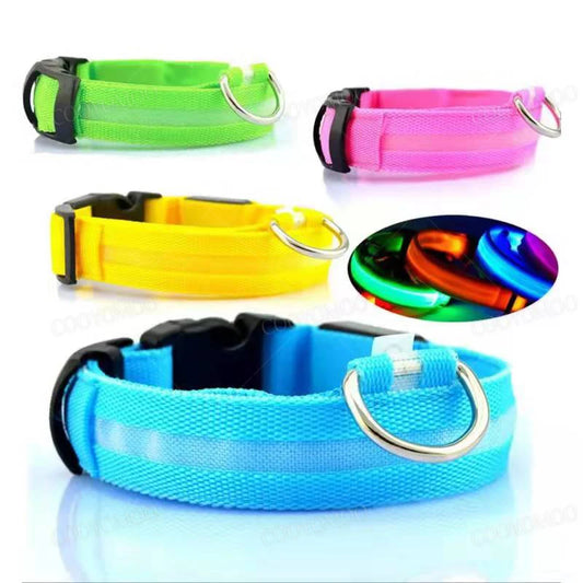 Collare Luminoso LED USB per Cani e Gatti 🌙 3 Modalità Ricaricabile Staccabile