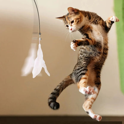 Bacchetta Giocattolo per Gatti – Piuma con Campanellino e Ventosa – Gioco Interattivo e Divertente