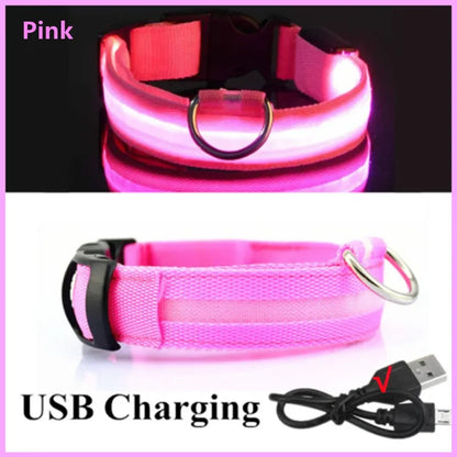 Collare Luminoso LED USB per Cani e Gatti 🌙 3 Modalità Ricaricabile Staccabile