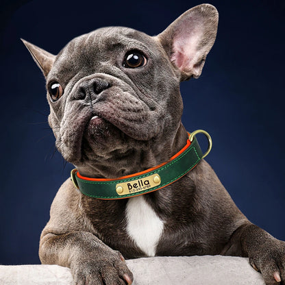 Collare Personalizzabile con nome e numero di telefono – Morbido, Regolabile con Incisione Gratis per Cani Piccoli, Medi e Grandi