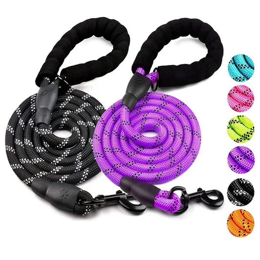 Guinzaglio Riflettente in Nylon Rinforzato per Cani – Resistente e Sicuro (Taglia Piccola, Media, Grande)en Retriever