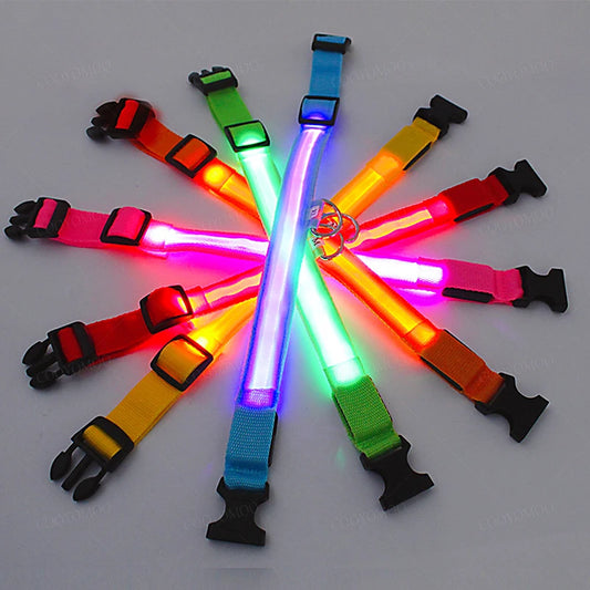 Collare Luminoso LED USB per Cani e Gatti 🌙 3 Modalità Ricaricabile Staccabile