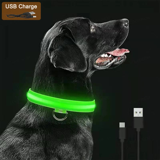 Collare Luminoso LED USB per Cani e Gatti 🌙 3 Modalità Ricaricabile Staccabile