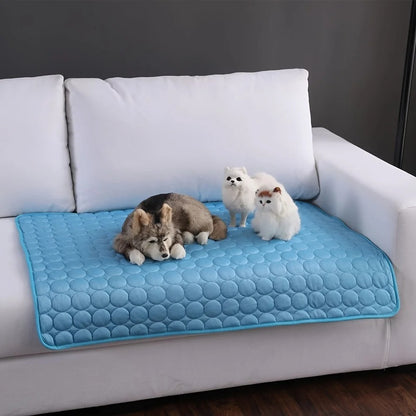 💦 Tappetino rinfrescante per animali – Sollievo immediato per tutta l’estate! 🌞🐾